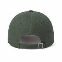 A Frame Dad Hat Unstructured thumbnail 19 bottle back