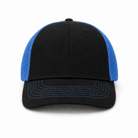 GTO MERCURY thumbnail 51 black blue front
