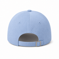A Frame Dad Hat Unstructured thumbnail 89 sky back