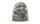 Marsh Duck Camo