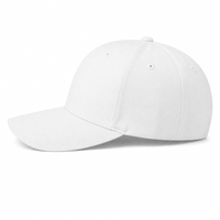 6277 FLEXFIT Structured Baseball Cap thumbnail 21 white left