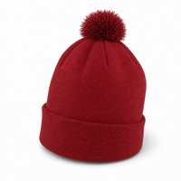 FLEX Acrylic POM POM BEANIE thumbnail 41 cardinal angle