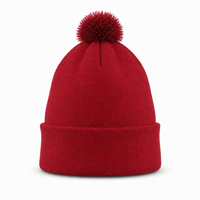 FLEX Acrylic POM POM BEANIE thumbnail 40 cardinal back