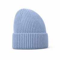 Premium Merino Wool Beanie with Cuff – Soft & Warm Knit Hat thumbnail 45 sky right