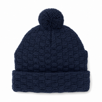Pom Pom Beanie thumbnail 26 navy back