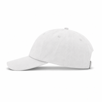 Flex Bamboo Eco-Friendly 6-Panel Unstructured Cap with Moisture-Wicking Sweatband thumbnail 35 white left