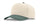 Cream/Dark Green