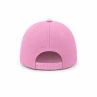 HBC Two-Tone Cap with Iconic Hudson's Bay Stripes thumbnail 97 natural pink back