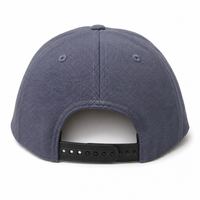 Flex ONE1ZERO Snapback thumbnail 17 gray back
