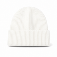 Premium Lambswool Flex Beanie with Cuff – Ultra Soft & Warm thumbnail 40 white front