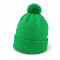 FLEX Acrylic POM POM BEANIE thumbnail 69 kelly green angle