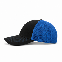 GTO MERCURY thumbnail 52 black blue left