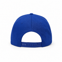 A Frame Rope Cap thumbnail 24 royal back