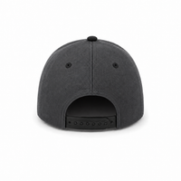 HBC Two-Tone Cap with Iconic Hudson's Bay Stripes thumbnail 12 charcoal/black back