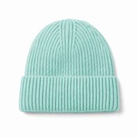 Premium Merino Wool Beanie with Cuff – Soft & Warm Knit Hat thumbnail 35 mint front
