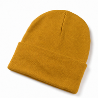 Kaleidoscope Beanie thumbnail 43
