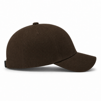 A Frame Flex Cap with Adjustable Snapback and Premium Cotton thumbnail 151 chocolate right
