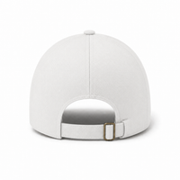 A Frame Sandwich Flex Cap with Premium Cotton and Adjustable Snapback thumbnail 47 white navy back
