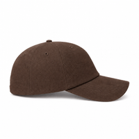 A Frame Dad Hat Unstructured thumbnail 11 brown right