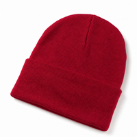 Kaleidoscope Beanie thumbnail 13