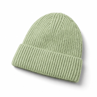 Premium Merino Wool Beanie with Cuff – Soft & Warm Knit Hat thumbnail 144 lime mint angle