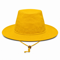 Slouch Hat Break-away Clip thumbnail 20 gold back