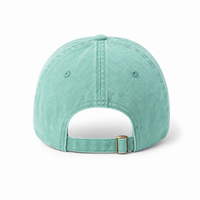 Flex Enzyme Washed Adjustable Baseball Cap thumbnail 67 seafoam light green back