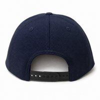 Flex ONE1ZERO Snapback thumbnail 21 navy back