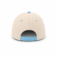 HBC Two-Tone Cap with Iconic Hudson's Bay Stripes thumbnail 104 natural sky back