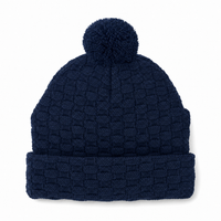 Pom Pom Beanie thumbnail 39 navy/navy/navy back