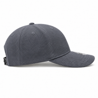 Flex ONE1ZERO Snapback thumbnail 16 gray right