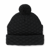 Pom Pom Beanie thumbnail 5 black back