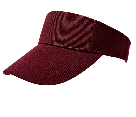 Flex Event Visor