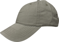 Enzyme Dad Cap thumbnail 12