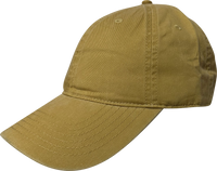 Enzyme Dad Cap thumbnail 2