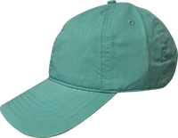 Enzyme Dad Cap thumbnail 6