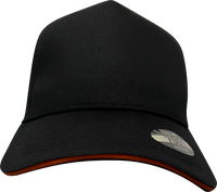 A Frame Sandwich Flex Cap thumbnail 6