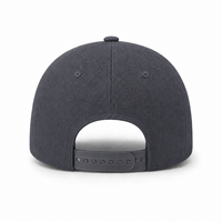 A Frame Flex Cap with Adjustable Snapback and Premium Cotton thumbnail 15 charcoal back