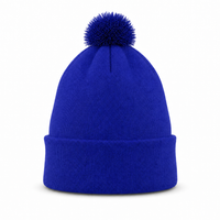 FLEX Acrylic POM POM BEANIE thumbnail 19 royal back