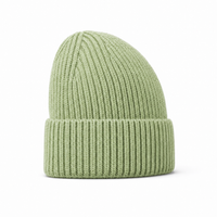 Premium Merino Wool Beanie with Cuff – Soft & Warm Knit Hat thumbnail 142 lime mint right