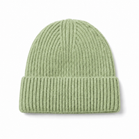 Premium Merino Wool Beanie with Cuff – Soft & Warm Knit Hat thumbnail 140 lime mint front