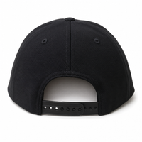 Flex ONE1ZERO Snapback thumbnail 6 black back