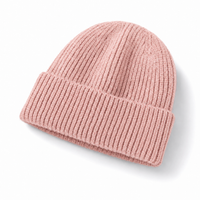 Premium Lambswool Flex Beanie with Cuff – Ultra Soft & Warm thumbnail 37 light pink angle