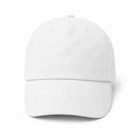 A Frame Dad Hat Unstructured thumbnail 44 white front