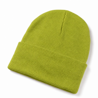 Kaleidoscope Beanie thumbnail 37