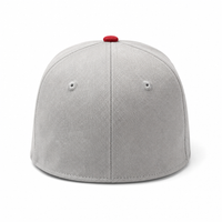 Spider Cap with Striking Spiderweb Brim Design in Grey thumbnail 5