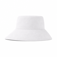 Ladies Hat thumbnail 10