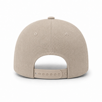 A Frame Flex Cap with Adjustable Snapback and Premium Cotton thumbnail 223 stone back