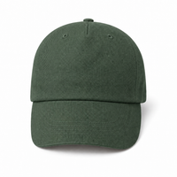 A Frame Dad Hat Unstructured thumbnail 16 bottle front