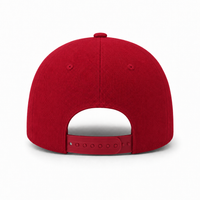 A Frame Flex Cap with Adjustable Snapback and Premium Cotton thumbnail 116 cranberry back